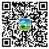 MT型双面涂板带-涂板带-自动化皮带链板输送机|304316L不锈钢扁丝网带|制药厂口服液输送网带|太阳能晶片烧结炉2080支架网带-扬州市鑫凯旋网带厂