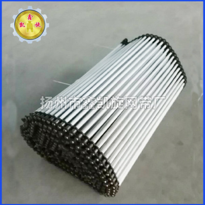 316L四氟串杆链板带